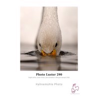 Hahnemühle Photo Luster 290 g/m² - 24" x 30 meter